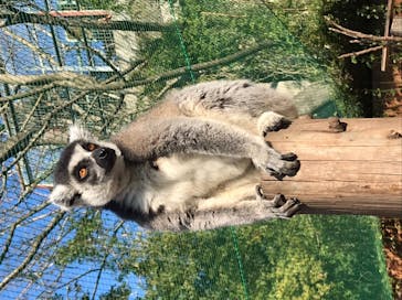 しろとり動物園に投稿された画像（2022/1/3）