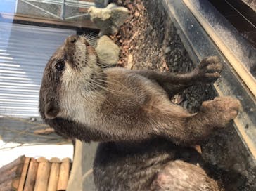 しろとり動物園に投稿された画像（2022/1/3）