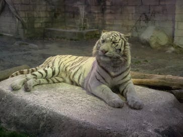 東武動物公園に投稿された画像（2022/1/3）