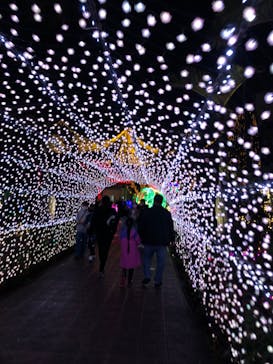 美らヤシパークオキナワ・東南植物楽園に投稿された画像（2022/1/3）