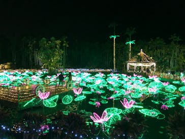 美らヤシパークオキナワ・東南植物楽園に投稿された画像（2022/1/3）