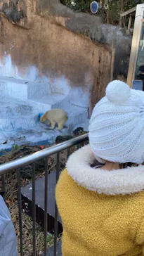 天王寺動物園に投稿された画像（2022/1/3）
