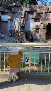 天王寺動物園に投稿された画像（2022/1/3）