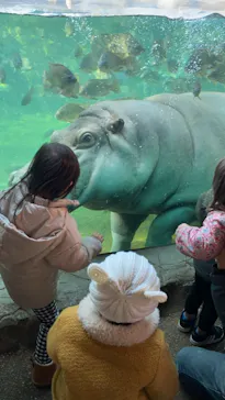 天王寺動物園に投稿された画像（2022/1/3）