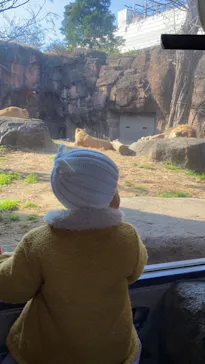 天王寺動物園に投稿された画像（2022/1/3）