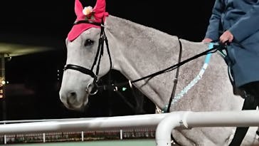 東京メガイルミに投稿された画像（2022/1/3）