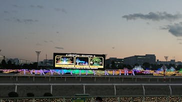 東京メガイルミに投稿された画像（2022/1/3）