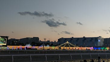 東京メガイルミに投稿された画像（2022/1/3）