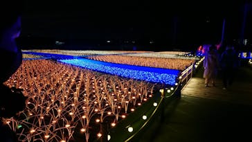 東京メガイルミに投稿された画像（2022/1/3）