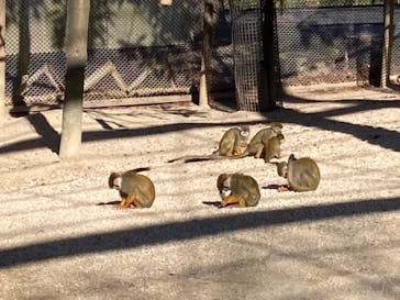 東武動物公園に投稿された画像（2022/1/3）