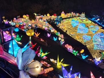 伊豆ぐらんぱる公園に投稿された画像（2022/1/3）