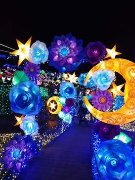 伊豆ぐらんぱる公園に投稿された画像（2022/1/3）