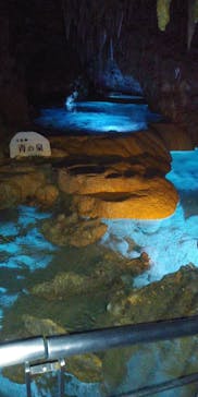 おきなわワールドに投稿された画像（2022/1/3）