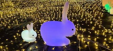 伊豆ぐらんぱる公園に投稿された画像（2022/1/3）