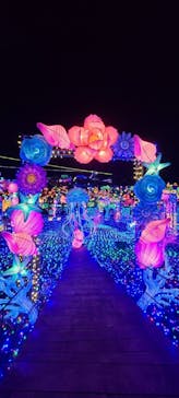 伊豆ぐらんぱる公園に投稿された画像（2022/1/3）