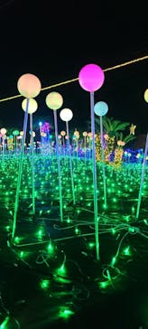 伊豆ぐらんぱる公園に投稿された画像（2022/1/3）
