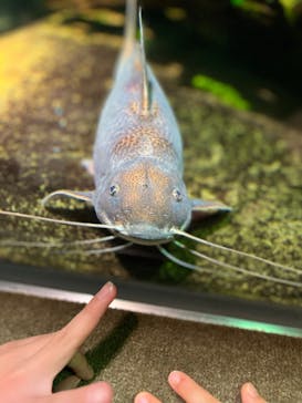 サンシャイン水族館に投稿された画像（2022/1/3）