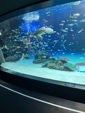 サンシャイン水族館に投稿された画像（2022/1/3）