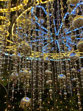 ひらかたパークに投稿された画像（2022/1/3）