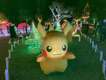 美らヤシパークオキナワ・東南植物楽園に投稿された画像（2022/1/3）