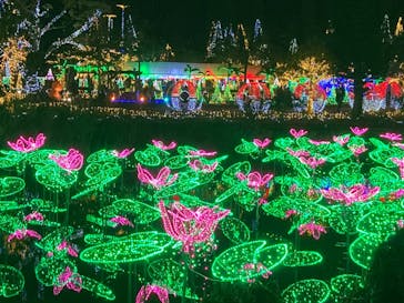 美らヤシパークオキナワ・東南植物楽園に投稿された画像（2022/1/3）