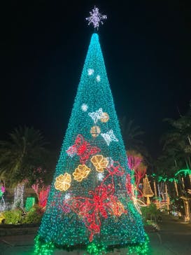 美らヤシパークオキナワ・東南植物楽園に投稿された画像（2022/1/3）