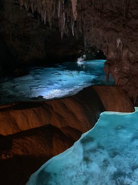 おきなわワールドに投稿された画像（2022/1/4）