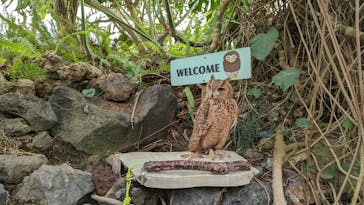 伊豆シャボテン動物公園に投稿された画像（2022/1/4）
