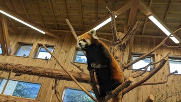 伊豆シャボテン動物公園に投稿された画像（2022/1/4）