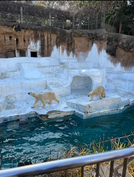 天王寺動物園に投稿された画像（2022/1/4）