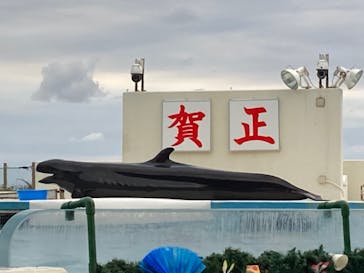 沖縄美ら海水族館に投稿された画像（2022/1/4）