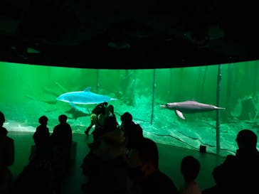 カワスイ 川崎⽔族館に投稿された画像（2022/1/4）