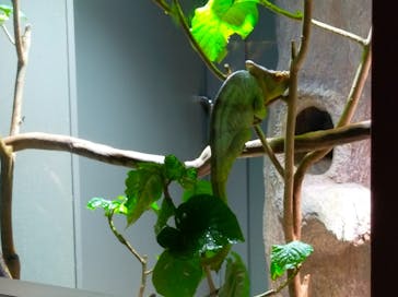 カワスイ 川崎⽔族館に投稿された画像（2022/1/4）