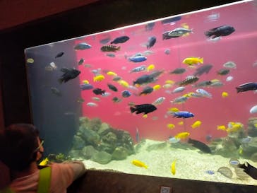 カワスイ 川崎⽔族館に投稿された画像（2022/1/4）