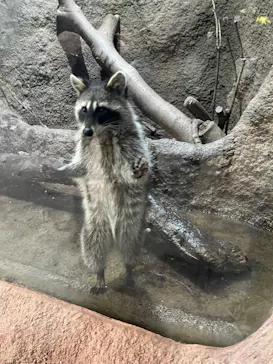 神戸どうぶつ王国に投稿された画像（2022/1/4）