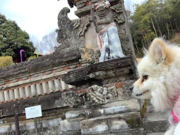 野外民族博物館 リトルワールドに投稿された画像（2022/1/4）