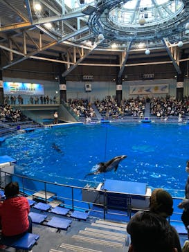 マクセル アクアパーク品川に投稿された画像（2022/1/4）