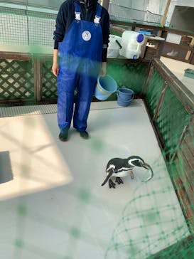 株式会社Gに投稿された画像（2022/1/4）