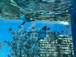 サンシャイン水族館に投稿された画像（2022/1/4）