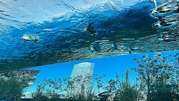 サンシャイン水族館に投稿された画像（2022/1/4）