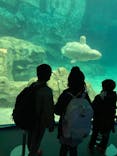名古屋港水族館に投稿された画像（2022/1/4）