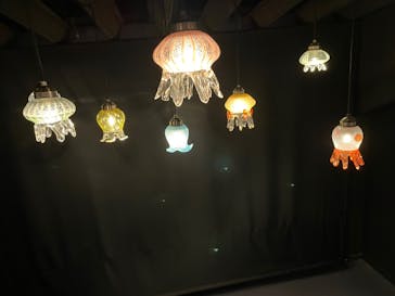 京都水族館に投稿された画像（2022/1/4）