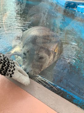 株式会社Gに投稿された画像（2022/1/4）