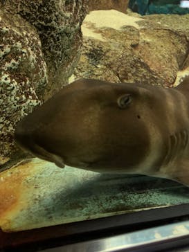 株式会社Gに投稿された画像（2022/1/4）