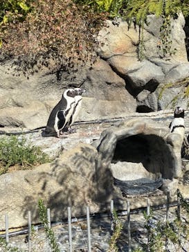 サンシャイン水族館に投稿された画像（2022/1/4）