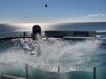 鴨川シーワールドに投稿された画像（2022/1/4）