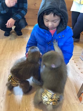 おさるランド＆アニタウン　日光さる軍団劇場に投稿された画像（2022/1/4）