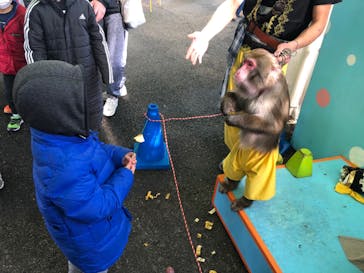 おさるランド＆アニタウン　日光さる軍団劇場に投稿された画像（2022/1/4）