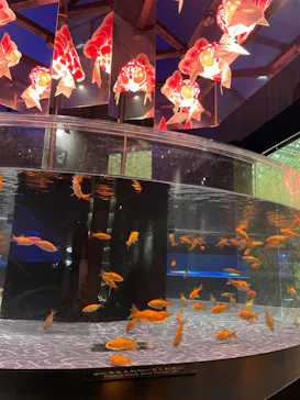 すみだ水族館に投稿された画像（2022/1/4）