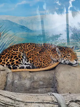 天王寺動物園に投稿された画像（2022/1/4）